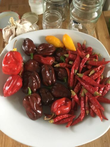 Chillipaste selbstgemacht